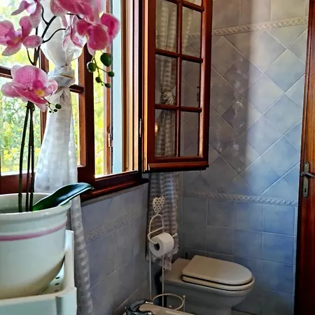 Villa Versilia Lido di Camaiore Exterior foto