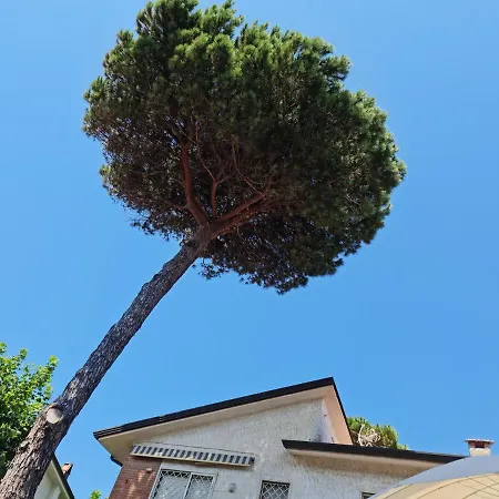 Villa Versilia Lido di Camaiore Exterior foto
