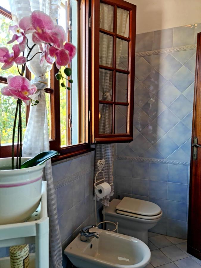 Villa Versilia Lido di Camaiore