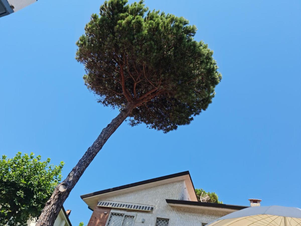 Versilia Villa *